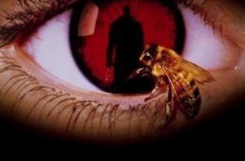 Candyman แคนดี้แมน เคาะนรก 5 ครั้ง วิญญาณไม่เรียกกลับ (1992) บรรยายไทย